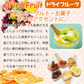 ドライフードメーカー 1個 【発送予定は商品詳細説明参照】 食品乾燥機 野菜乾燥機 ドライフルーツ ドライ野菜