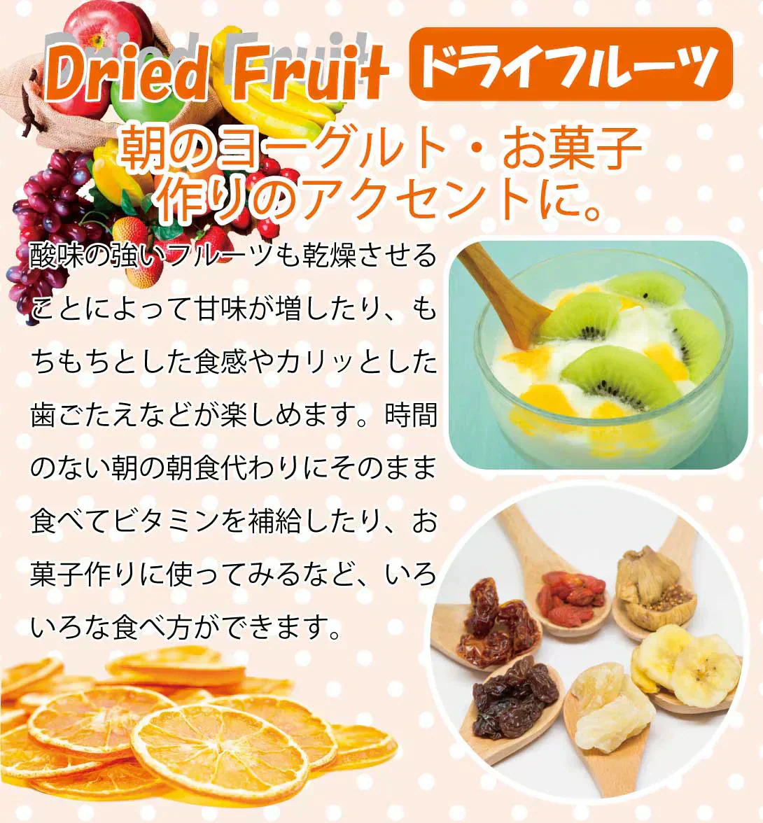 ドライフードメーカー 1個 【発送予定は商品詳細説明参照】 食品乾燥機 野菜乾燥機 ドライフルーツ ドライ野菜