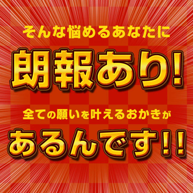 【3人シェア買いでお得】1kg 訳あり 割れおかきミックス (500g×2) 送料無料