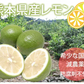 【9月下旬～10月上旬頃より順次出荷】レモン 国産レモン 送料無料 4kg 2S～L  熊本県産 減農薬 防腐剤ワックス不使用 れもん グリーンレモン 国産
