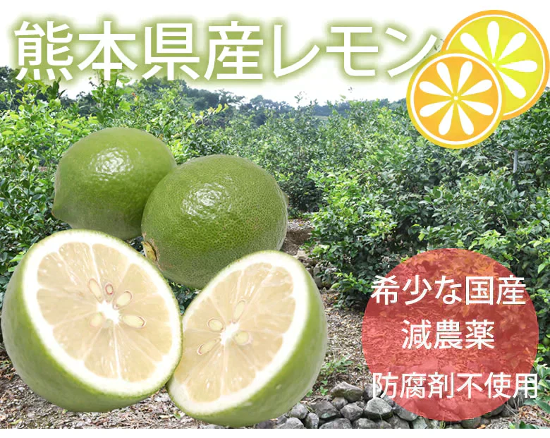 【9月下旬～10月上旬頃より順次出荷】レモン 国産レモン 送料無料 4kg 2S～L  熊本県産 減農薬 防腐剤ワックス不使用 れもん グリーンレモン 国産