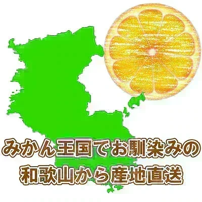 (10月下旬頃から順次発送の予約販売) みかん 2キロ 和歌山県 有田産 有田みかん