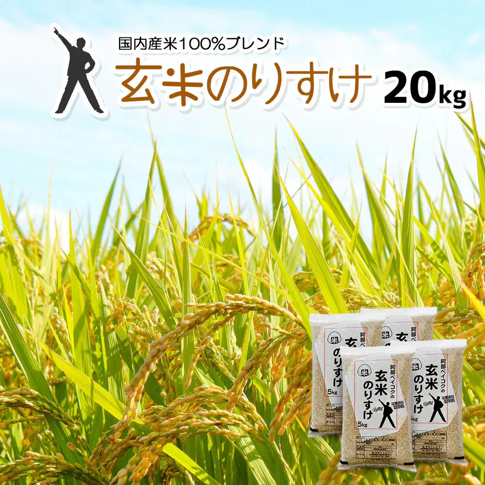 玄米 20kg (5kg×4袋) 玄米のりすけ 国内産 送料無料 玄米20キロ こめ コメ お米 新米 お米20kg お米20キロ