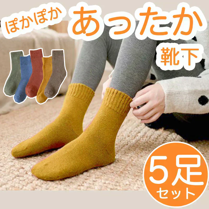 【ご予約商品 2025年3月上旬入荷分】レディースソックス 裏起毛 厚手 5足セット  防寒 暖かい靴下 無地  女性用靴下 冷え性対策 保温 あったか厚手靴下
