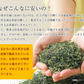 【2024年産】静岡県産緑茶 ティーライフのまかない新茶 100個入（ ティーバッグ 緑茶 新茶 ）
