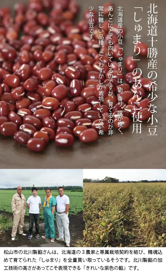【特別特価】愛媛県産みかん大福6個セット(冷凍/賞味期限:5月中旬ごろ)