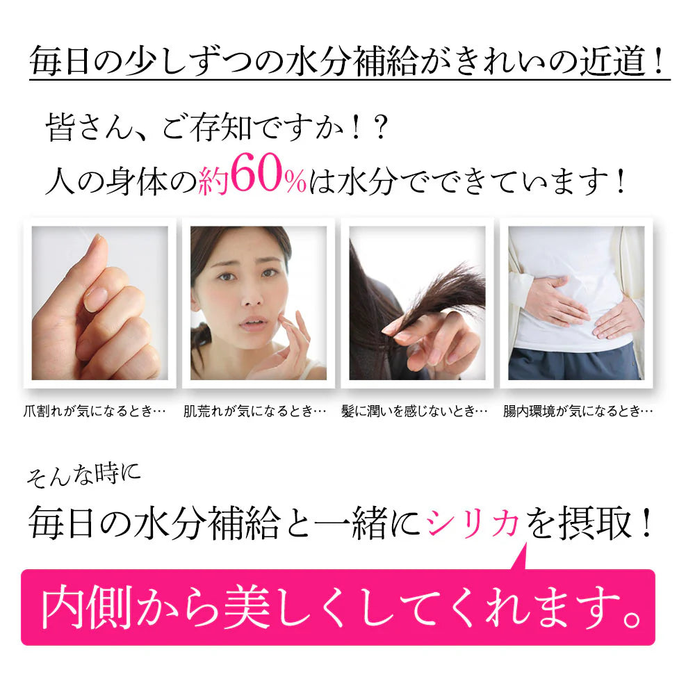 シリカ水 500ml 48本 高濃度シリカ水 シリカウォーター 理想のシリカ ミネラルウォーター ケイ素水 天然水 天然シリカ 水 軟水 国産 鳥取県産