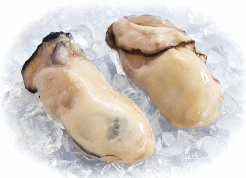 カキ かき 牡蠣 広島 1kg 冷凍 牡蠣(かき)特大 1kg (正味量約850g)×1袋 広島産/広島県産  送料無料 カキフライ バーベキュー 材料 BBQ 鍋 鍋セット ヘルシー  日時指定不可