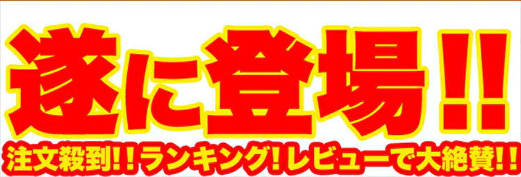【訳あり】美味しいフロランタンをどっさり1kgセット（約30個）