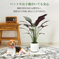 フェイクグリーン 「モミジグリーン」 観葉植物 大型 人工観葉植物 リアル フェイク グリーン インテリア 飾り用 撮影用 部屋飾り 造花 お祝い プレゼント おしゃれ