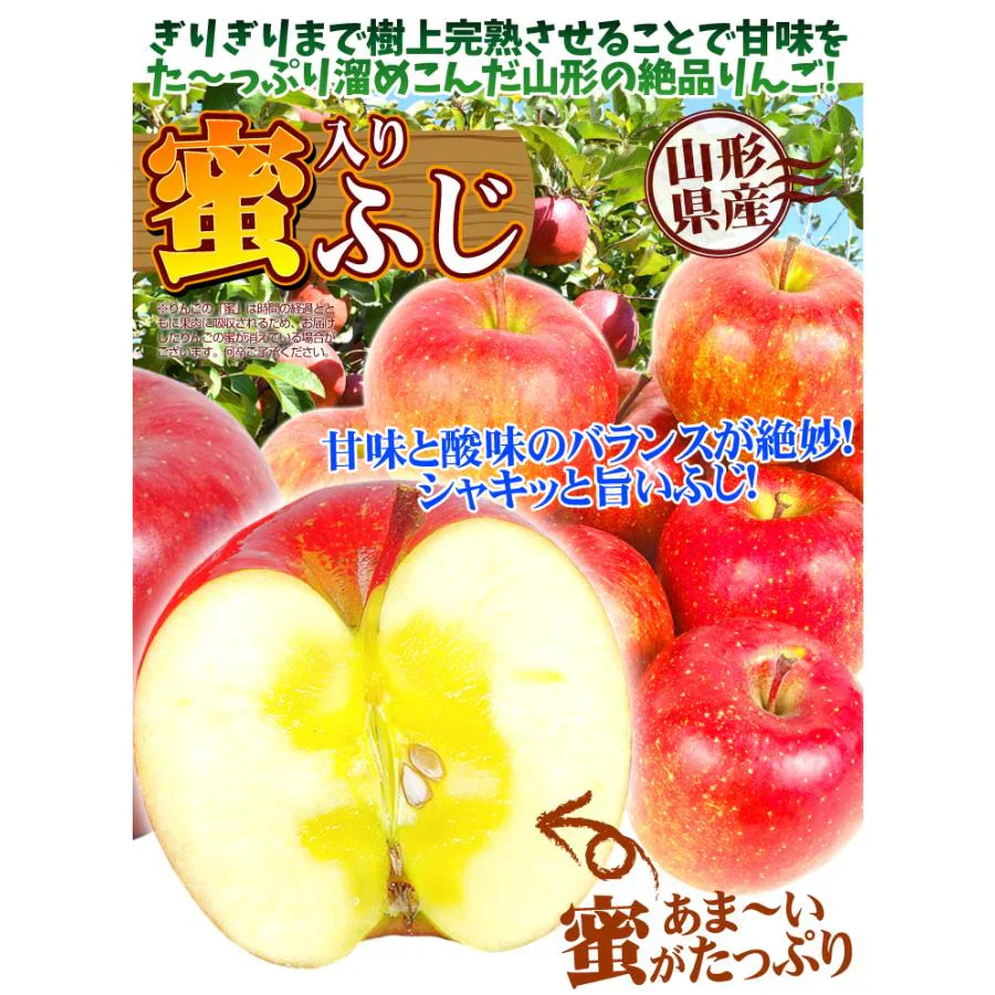りんご 蜜入りサンふじ 山形産 5kg （発送予定：12月上旬より）