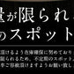 【超得ハイパーSALE】ホタテ 貝柱 1kg 訳あり（割れ 欠け サイズ不揃い）【ゲリラセール】