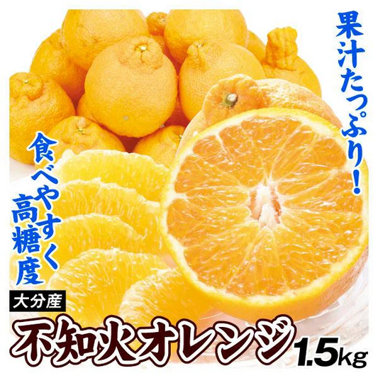 みかん　大分産　不知火オレンジ　1.5kg　ご家庭用（発送予定：2025年2月下旬より）
