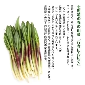 行者にんにく 割干漬【220g×1袋】北海道 お土産 ご飯のお供 ビール 日本酒