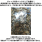 【期間限定販売】おためしミックスナッツシリーズ 小魚ミックス150g（ナッツの比率ランダム）【カウシェファーム収穫対象商品】
