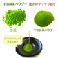 インスタント宇治抹茶パウダー30g 粉末 製菓材料 ラテ  簡単 便利 ポスト投函 宗新