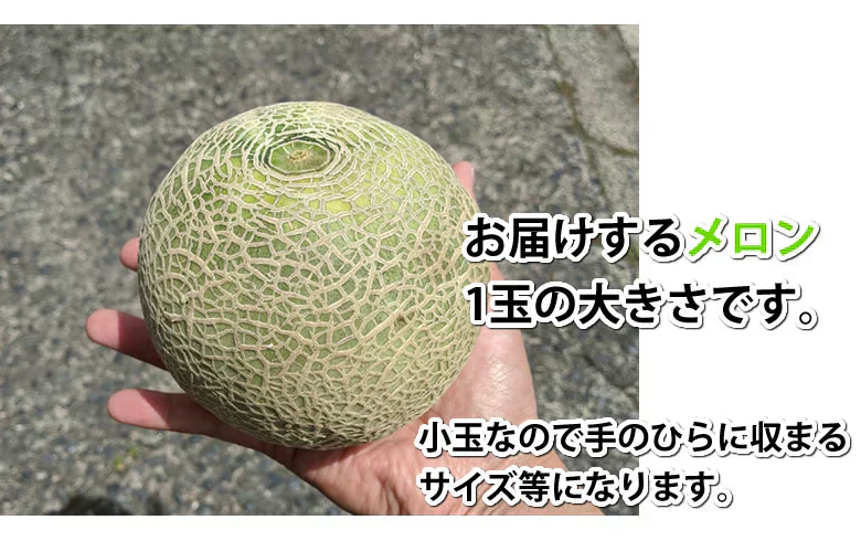 メロン 訳あり 小玉 赤肉メロン 4kg 送料無料  熊本県産 クインシーメロン フルーツ