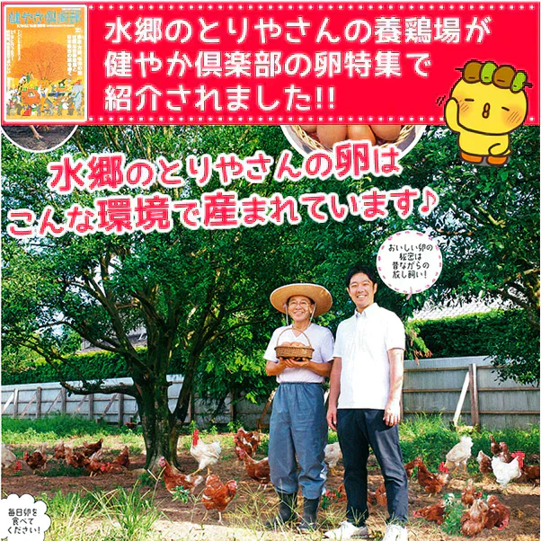 鶏肉専門店の朝引き朝どりセット　水郷どり１羽分 (もも肉2枚 胸肉2枚 ささみ2本) ＋放し飼い自然卵 (5個＋破損補償1個)