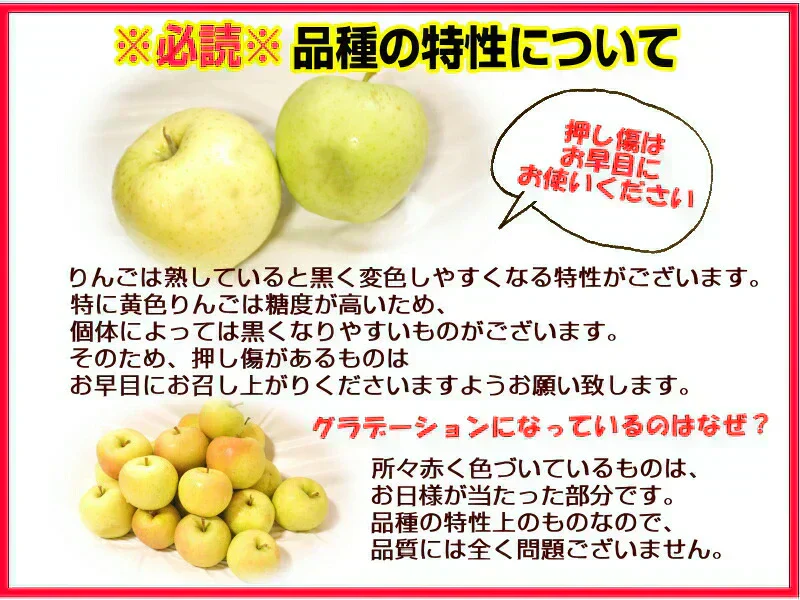 【即日発送】青森県産 りんご トキ 3kg箱 家庭用/訳あり ★トキ 家訳 3kg箱