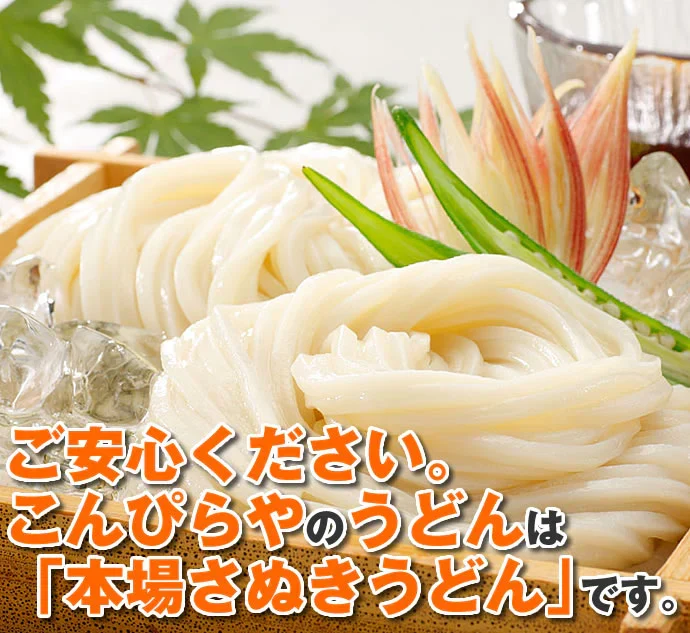 【訳あり】本場讃岐の包丁細切り讃岐うどん900g 約9人前【半生麺】【細麺】