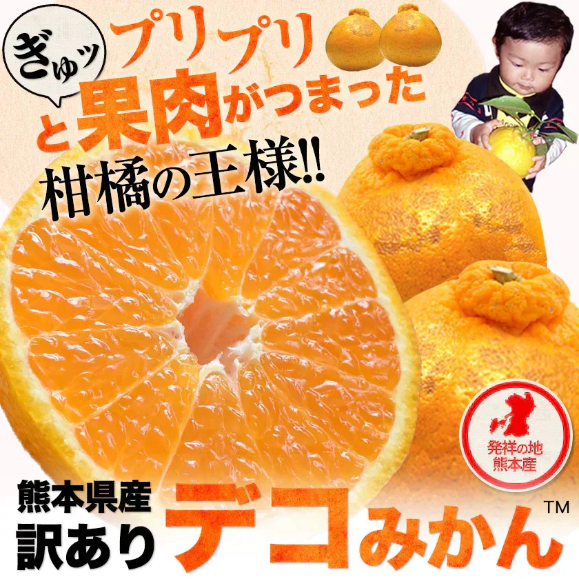 本場熊本産 訳あり デコみかん 送料無料 1.5kg 不知火 みかん ミカン 熊本県産 訳あり デコポン と同品種 熊本 柑橘  7-14営業日以内に発送予定(土日祝除く)