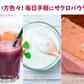 インド産 ザクロパウダー 100g×1袋