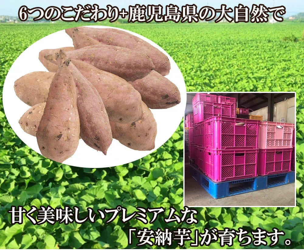 安納芋 5kg 安納いも 安納イモ 産地直送 産直 土付き さつまいも さつま芋 薩摩芋 焼きいも 焼き芋 鹿児島県産 FJK-002