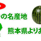 すいか 送料無料 小玉すいか ひとりじめ 秀品2玉 約2～3kg 西瓜 スイカ 熊本県産 お取り寄せ フルーツ