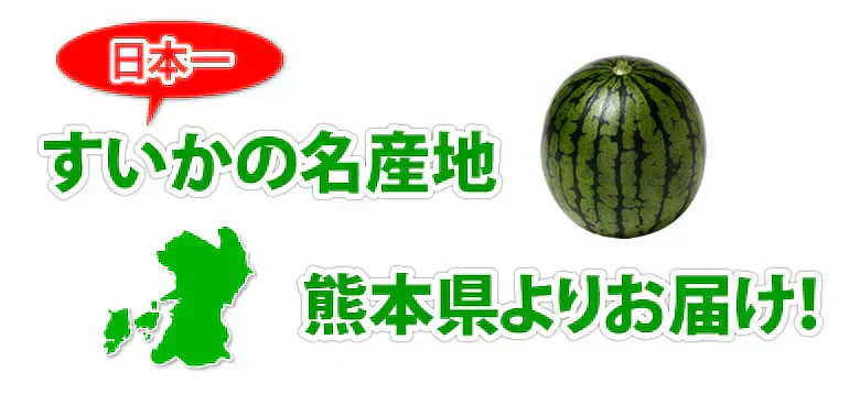 すいか 送料無料 小玉すいか ひとりじめ 秀品2玉 約2～3kg 西瓜 スイカ 熊本県産 お取り寄せ フルーツ