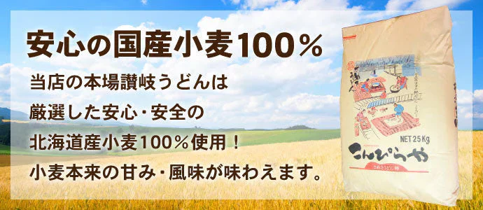 極太麺バージョン！【訳あり】半生極太讃岐うどん10人前【半生麺】【太麺】