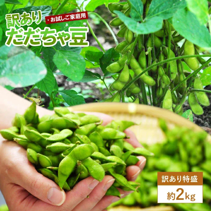 【8月中旬-9月上旬頃発送】だだちゃ豆 訳あり 2kg 訳あり 大盛り ご家庭用 えだまめ エダマメ 産直 山形産 ワケアリ 大盛り たっぷり 食べ放題