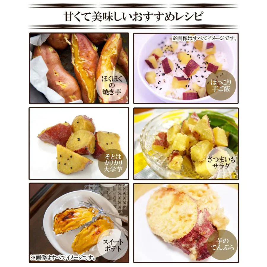 シルクスイート さつまいも 5kg 産地直送 産直 土付き さつま芋 薩摩芋 焼きいも 焼き芋 鹿児島県産 FJK-001