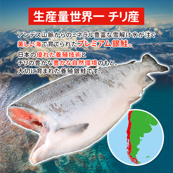 旨塩銀鮭 厚切り8切 送料無料