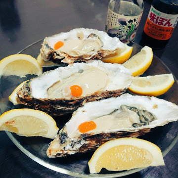 急速凍結 生食用冷凍牡蠣 殻付き 牡蠣 送料無料 ２ｋｇ（目安20個程度） 冷凍便 牡蠣 殻付き 殻付 カキ 牡蛎 かき 松島牡蠣屋 BBQ バーべキュー 二枚貝 貝類  kaki かきカキ