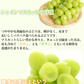 【7月下旬～8月上旬頃より順次出荷】シャインマスカット ぶどう 送料無料 2kg 3〜5房 九州産 マスカット 葡萄 ブドウ