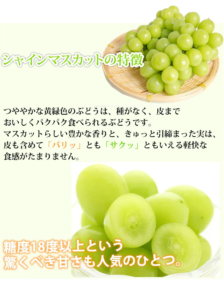 【7月下旬～8月上旬頃より順次出荷】シャインマスカット ぶどう 送料無料 2kg 3〜5房 九州産 マスカット 葡萄 ブドウ