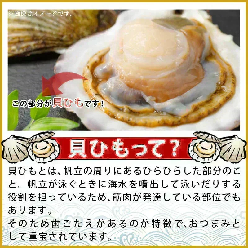 ＜北海道産 焼帆立貝ひも 150g＞ ほたて