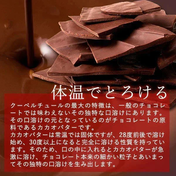 使用不可【エコ得】 割れチョコ ショコラオレンジ 200g×2個セット※配送時期：10月20日（火）以降、順次発送開始予定