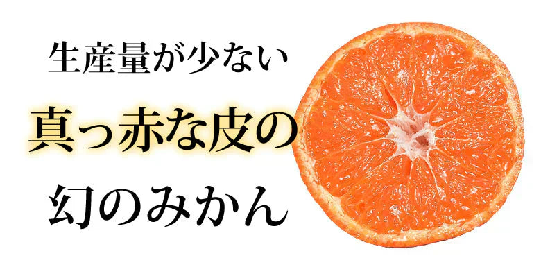 【11月下旬～12月上旬頃より順次出荷】山下紅早生 みかん 幻のみかん 送料無料 秀品 2.5kg 希少品種 熊本県産  蜜柑 早生みかん ミカン