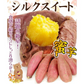 さつまいも 5kg シルクスイート 熊本産 蜜芋【2026年12月上旬より発送予定】