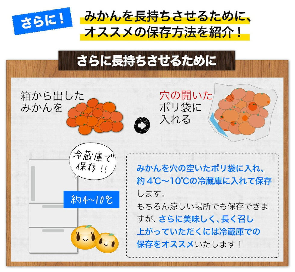 熊本 みかん 訳あり 9kg 熊本県産 熊本 小玉 不選別 みかん 家庭用 送料無料 早生 ミカン フルーツ お取り寄せ 柑橘 フルーツ 果物  《10月中旬-11月中旬に出荷予定》
