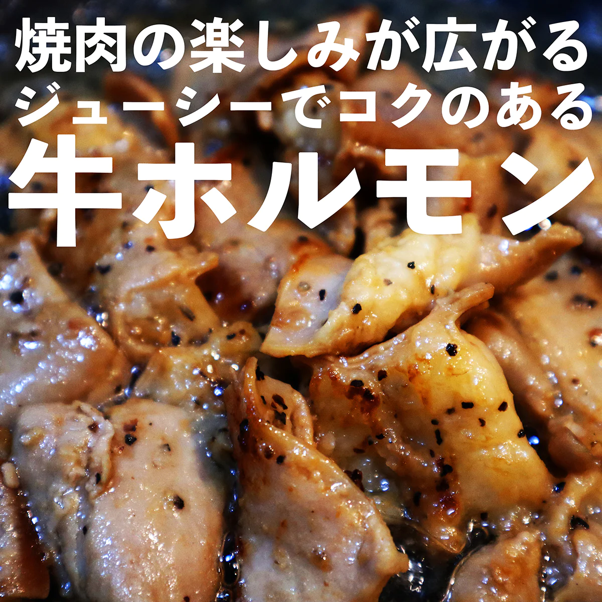 牛塩ホルモン焼 500g 牛肉 牛ホルモン ホルモン 塩焼き 塩味 冷凍品 牛スタミナわっしょい 塩レモン味 惣菜 豪州産 オーストラリア産 牛小腸 味付け 塩レモン オーストラリア オージービーフ スタミナ おつまみ レモンペッパー
