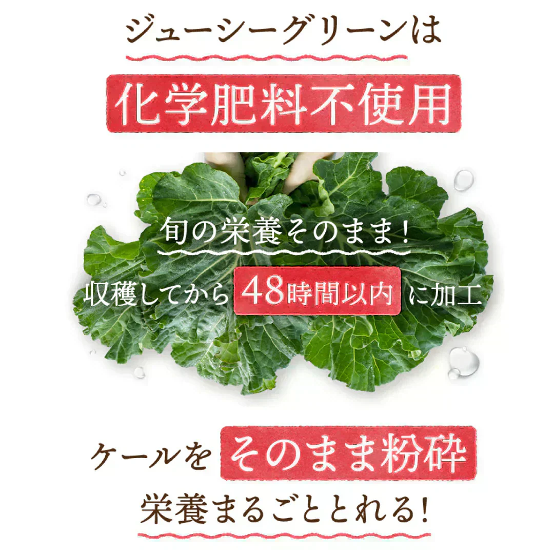 おいしい旬採れケール青汁　３袋入（ ケール 青汁 健康飲料 野菜 飲みやすい 緑茶 お茶 サプリメント ）【カウシェファーム収穫対象商品】