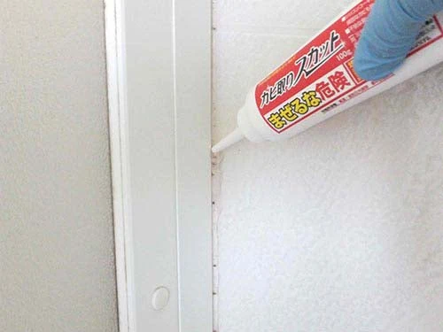 超強力 カビ取りスカット 100g / カビ取り剤 防カビ カビ お風呂 浴室 トイレ 窓 日本製