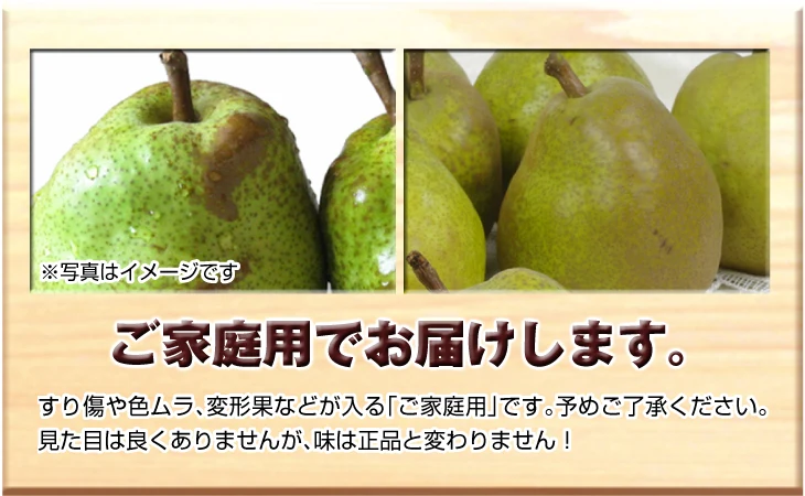 洋梨 ラ・フランス 5kg 山形産 フルーティーに香り立つ とろける甘さ ラフランス （発送予定:10月下旬より）