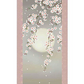 掛軸 「夜桜」 緒方葉水筆 [ 国産 日本製 保証付 品質保証付き 31×89 桜 花見 春 季節掛け 美しい ピンク 和 和室 リビング プレゼント 国内産 ギフト 床の間 インテリア 和風 送料無料 ]