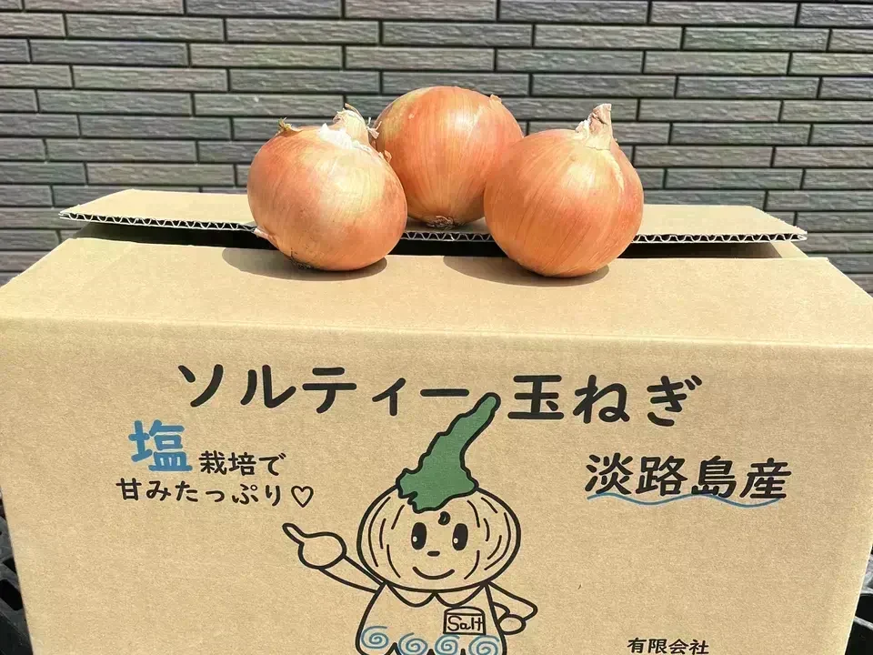 【訳あり】(塩栽培)淡路島産ソルティ玉ねぎ10キロ　美味しいさ甘さグー