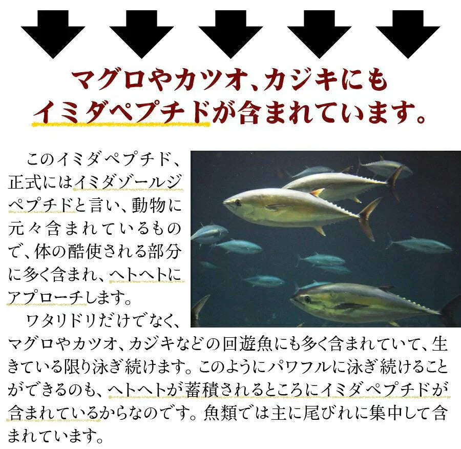 【大容量★約6ヶ月分】healthylife イミダペプチドGOLDタブレット 豊富な元気成分をプラスして あらゆる角度からサポート パワフルで元気な毎日を イミダペプチド 元気 マルチビタミン クエン酸 アスタキサンチン オルニチン ポリフェノール コエンザイムQ10 鉄分 ヘム鉄 おすすめ 人気 ランキング 効果 強力 最強 通販 日本製 国産健康サプリ 健康食品