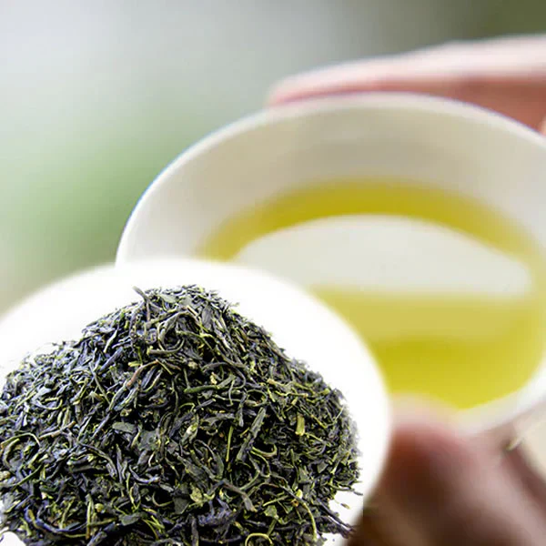 【１袋】嬉野茶／2025年産 新茶／日本茶栽培発祥の地！九州嬉野地方産／ほどよい香りとコク