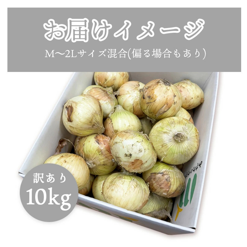 [みさわのやさい] 玉ねぎ 淡路島 10kg サイズお任せ(M〜2L) 国産 皮茶 玉葱 たまねぎ タマネギ 皮 保存野菜 常備野菜